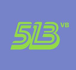 513VB’s logo
